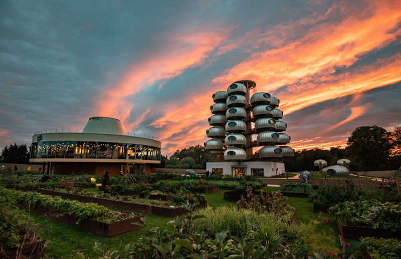 越看越像樹葡萄，但一點(diǎn)都不“土味”